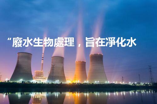 “廢水生物處理，旨在凈化水源，守護碧水藍天”